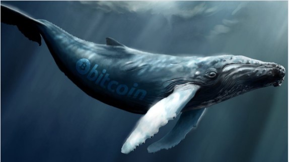 ビットコインクジラの人口は1,882に急上昇-3年間で最高レベル