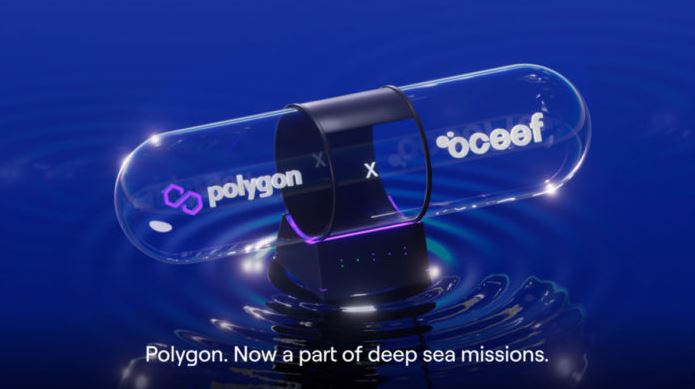 ポリゴンがNGOと提携し、海底探査をWebで実現3