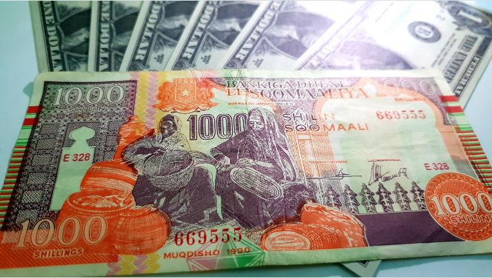 報告書 ソマリア、新紙幣でインフレと偽造に対抗