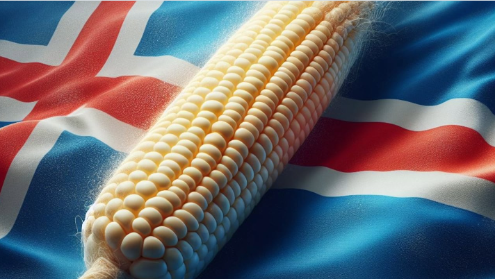 アイスランド首相、ビットコインより食料安全保障を優先すると宣言