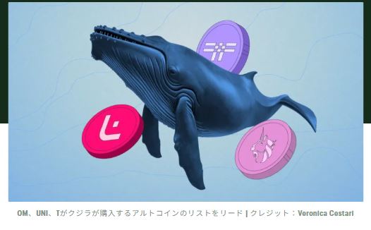 仮想通貨クジラは市場底値後にこれらのアルトコインを購入している