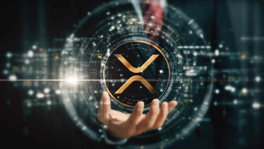 Rippleが支援する●●XRP ETFが立ち上げ、機関投資家が暗号資産の次の波を捉える競争に参入
