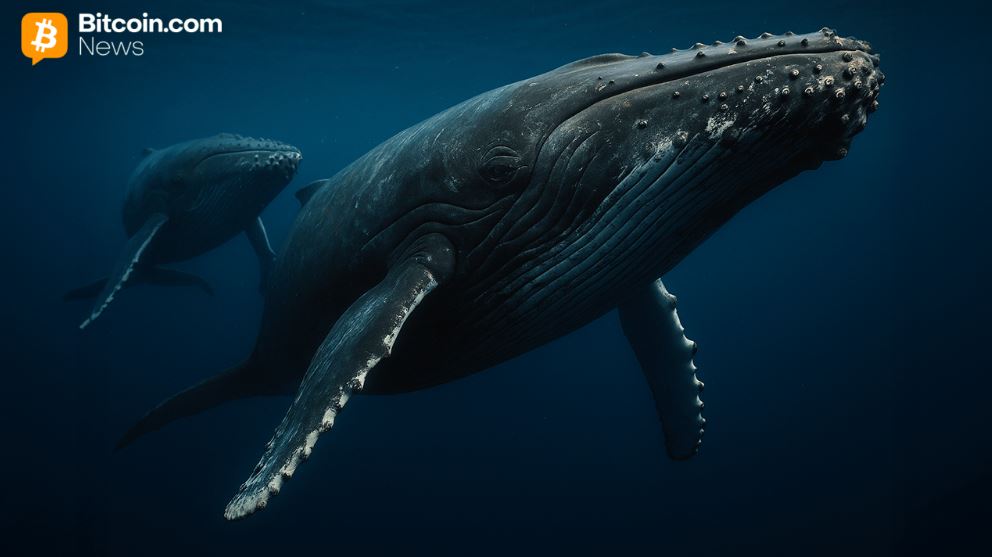 Cryptoquant: 大口保有者が後退、ビットコインは短期的な強さを取り戻す