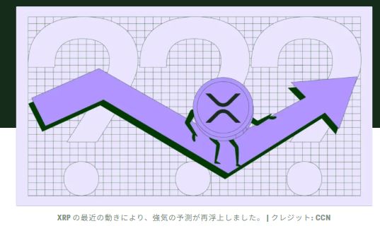 XRP クジラが急増、リップル社が ●● の噂を否定 ― 価格は 8 ドルまで急騰できるか?